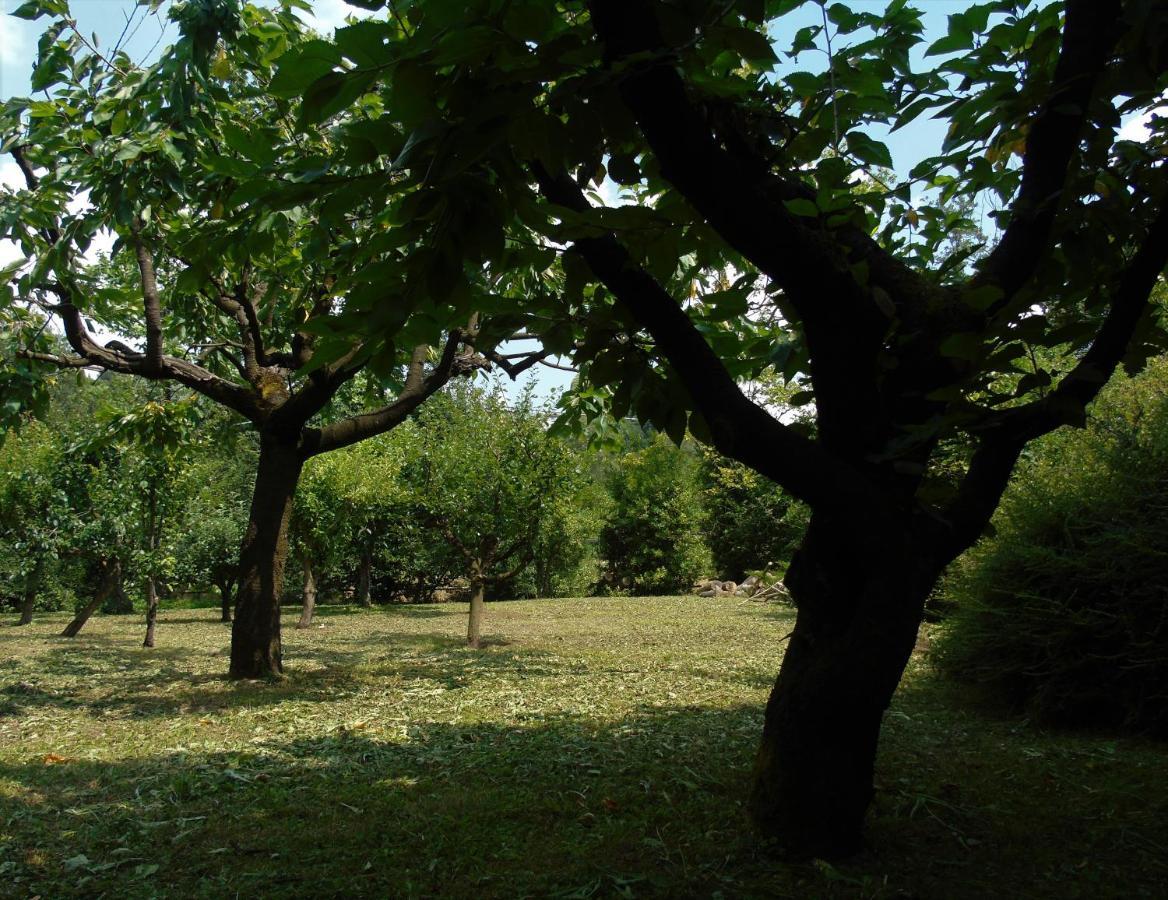 Cascina Cavalli Astino Villa Bergamo Eksteriør bilde