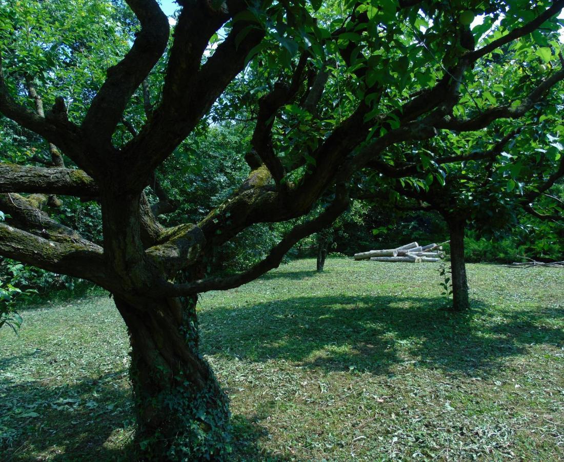 Cascina Cavalli Astino Villa Bergamo Eksteriør bilde